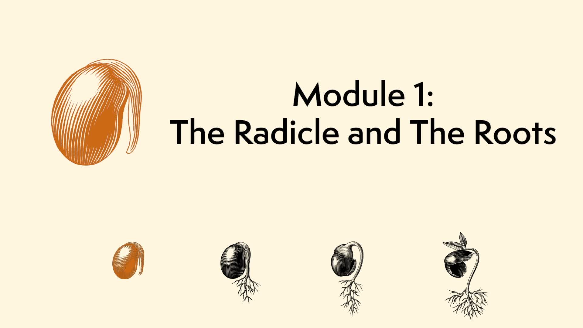 Radicle Methodism | Amplify Media