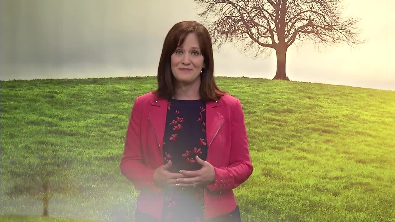 The Miracles of Jesus | Amplify Media