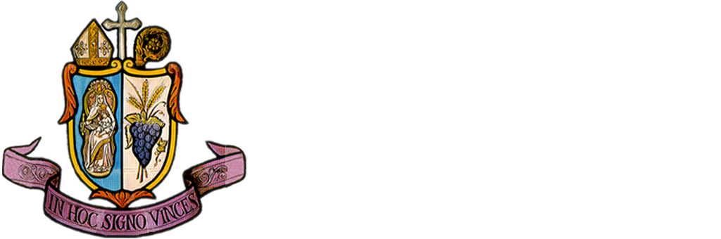 FNDTV - ES