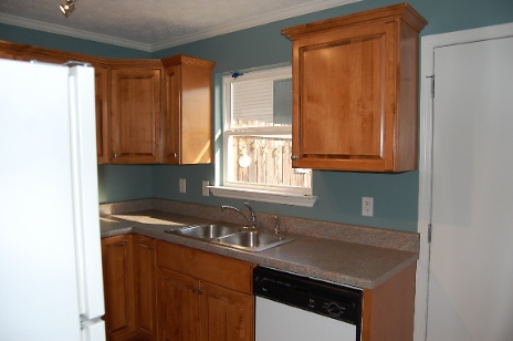 Updated Kitchen