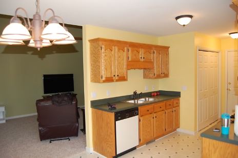 Pre-Renovated Kitchen