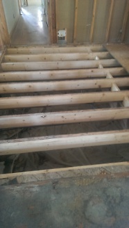 New Floor Joists