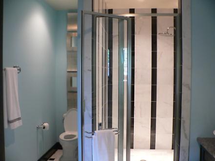 Guest Bathroom Shower